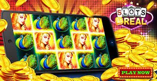 2000 bd ক্রিকেট ও ফুটবল স্পোর্টস বেটিং বিভাগের দৃশ্য